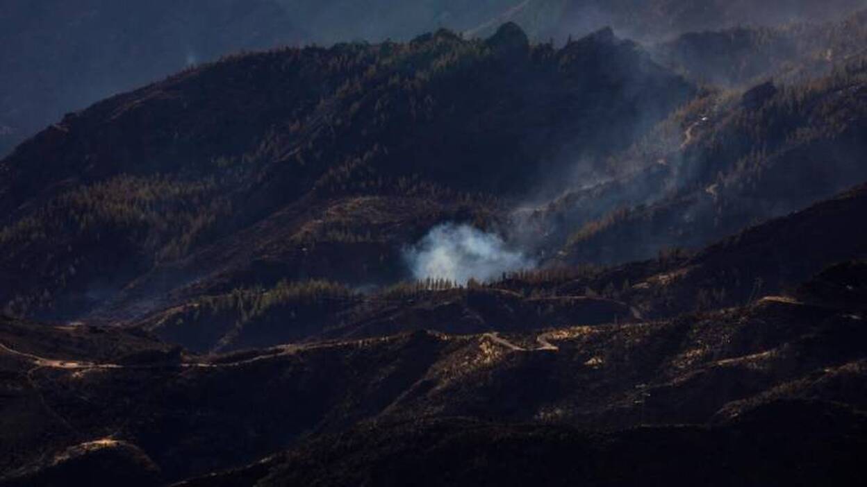 Los pirómanos aumentaron en 2018 y provocaron el 38,20% de los fuegos intencionados