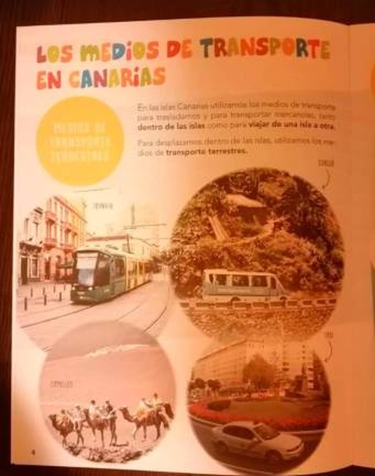 Los canarios viajamos en camello