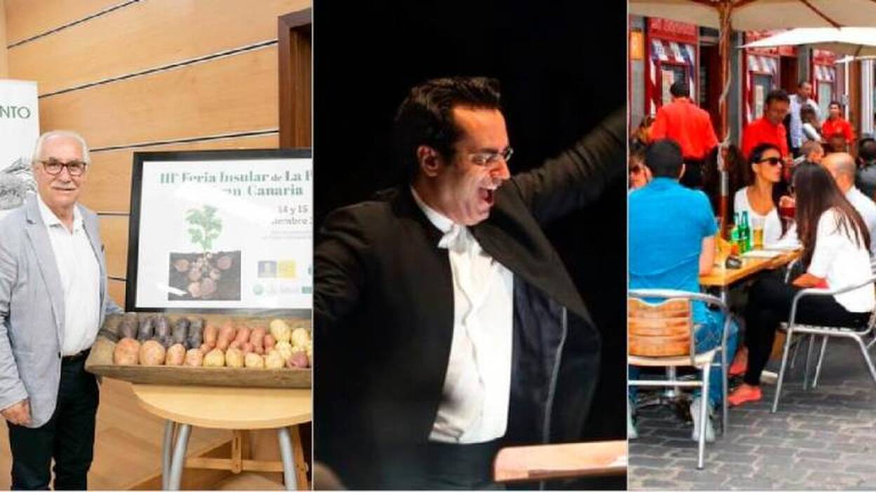 7 planes para este finde