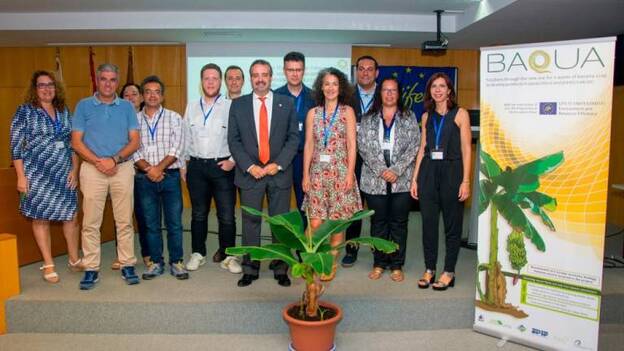 La fibra de las plataneras sirve como bioplástico de uso agrícola