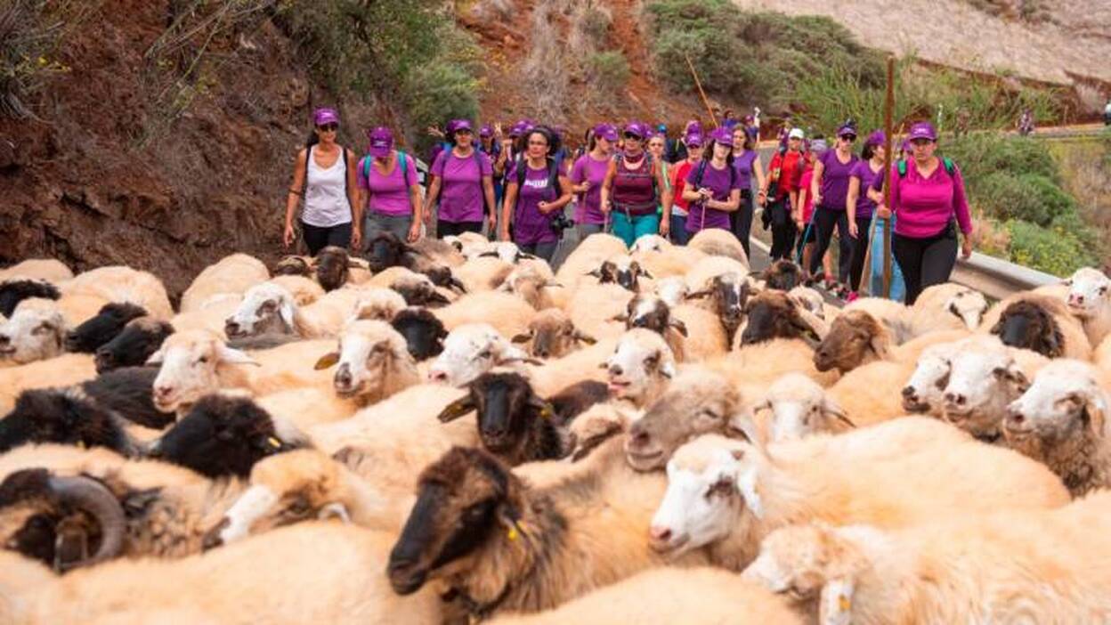 Un centenar de mujeres tiñe de malva las medianías