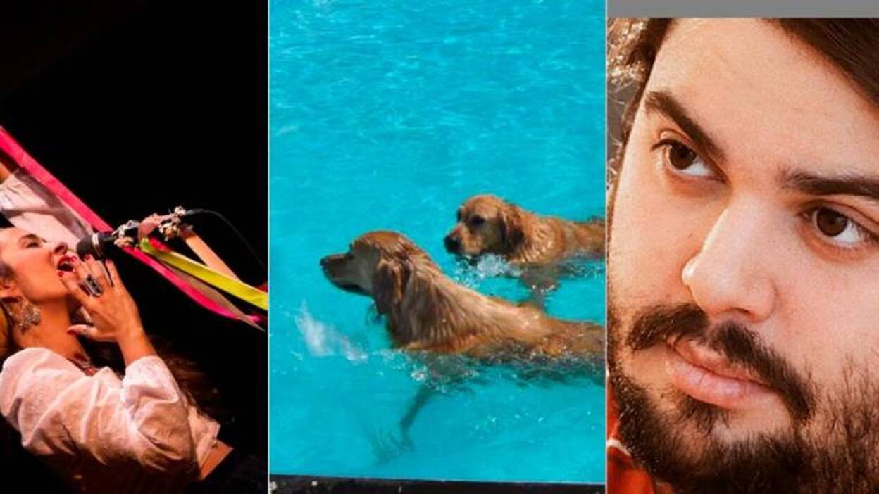 7 planes para este finde