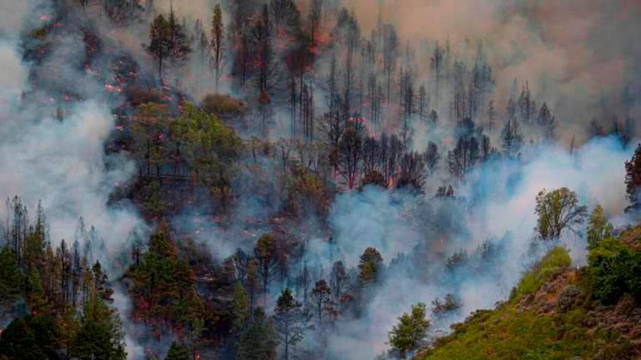 Ayudas de hasta un millón para unas 800 peticiones por el incendio en Gran Canaria