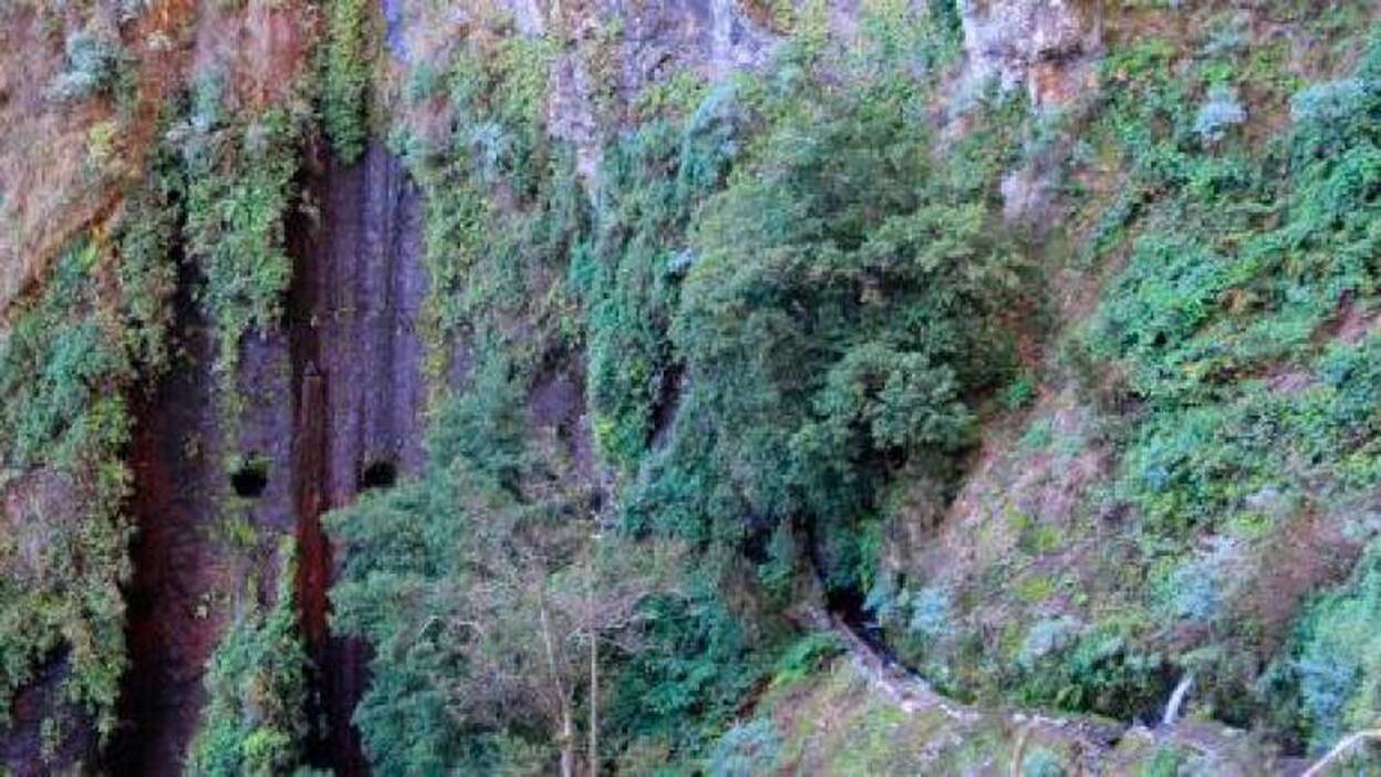 Rescatan el cadáver de un senderista en La Palma