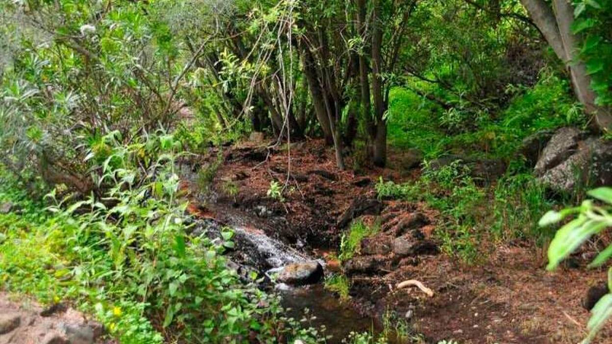 Un helicóptero rescata a un senderista tras sufrir una caída