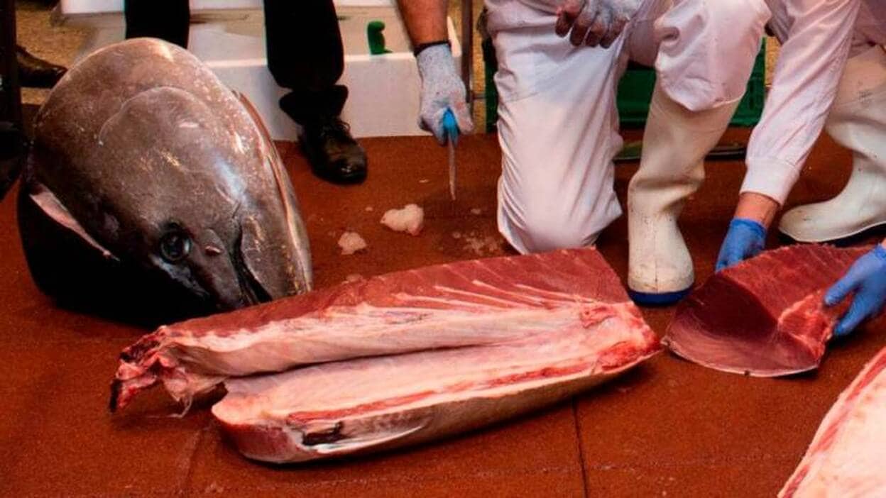 Sanidad recomienda no consumir atún rojo o pez espada a embarazadas y niños