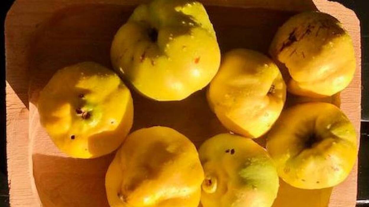 La receta de un delicioso dulce de membrillo