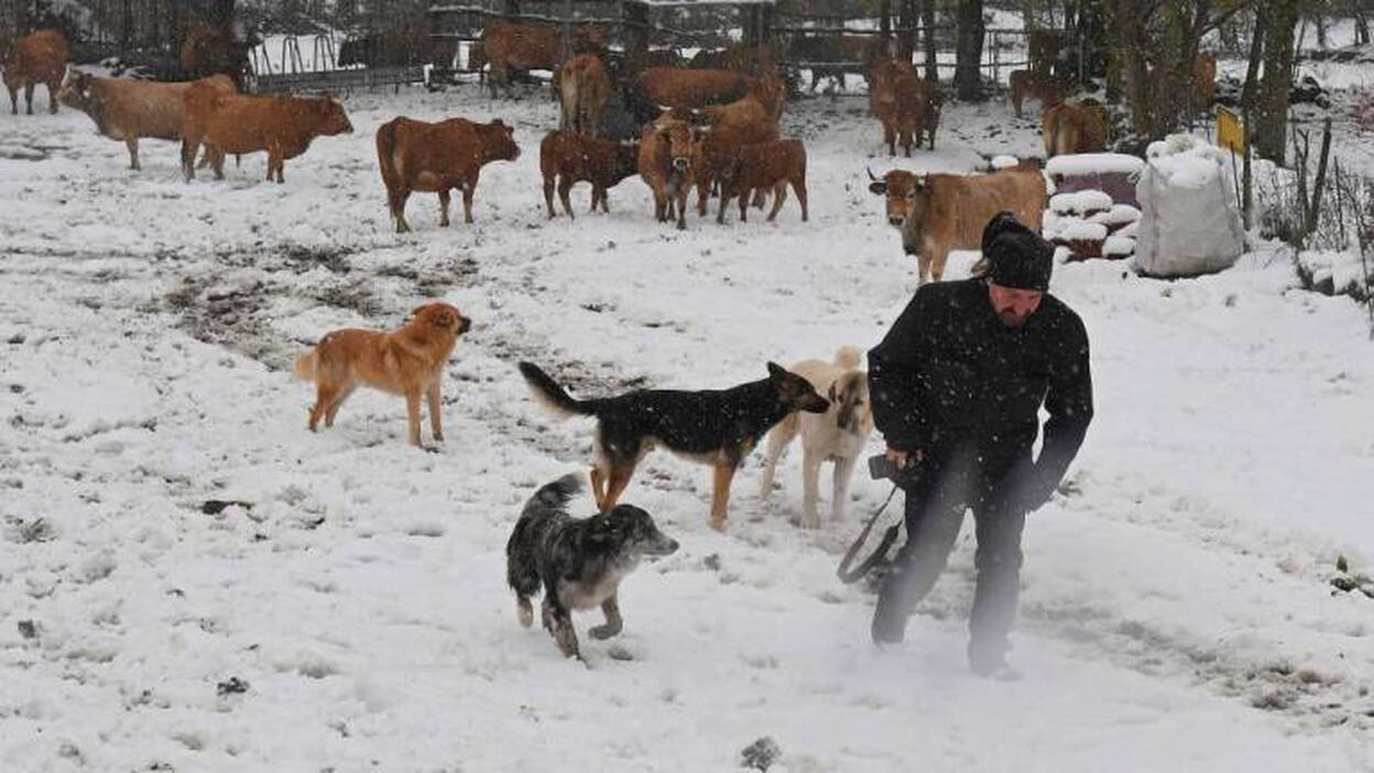 Fin de semana electoral invernal, con lluvia, viento y nieve