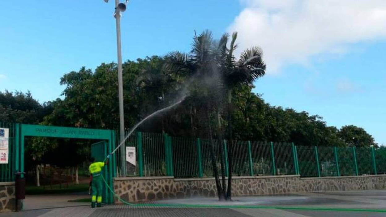 Lucha contra la mosca blanca
