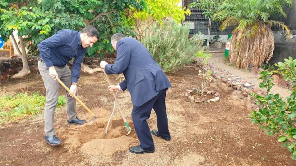 La ciudad celebrará el mes forestal con la plantación de 1.000 árboles