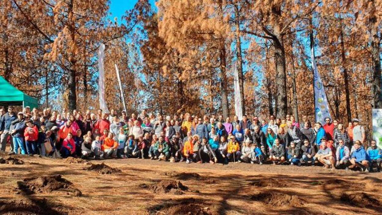 Unidos para devolver el verde a las cumbres de Gran Canaria