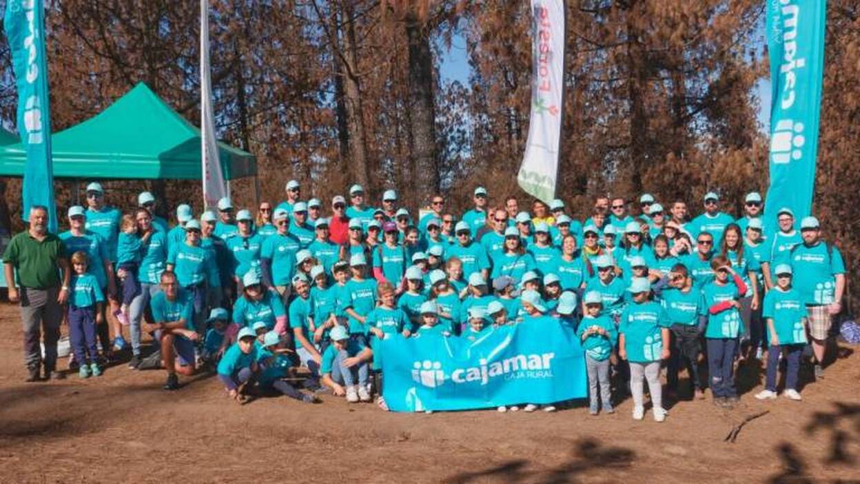 Cajamar ayuda a reforestar la Cumbre