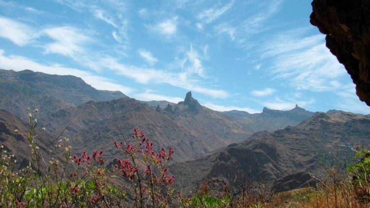 Un santuario de la evolución en la Reserva de la Biosfera de Gran Canaria