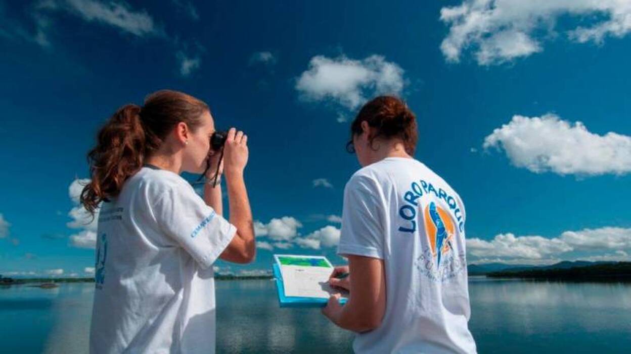 Loro Parque destina 2 millones de dólares a proyectos de conservación en 2020