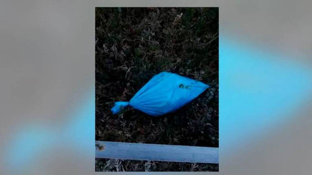 Aparecen sacos con cachorros y corderos descuartizados