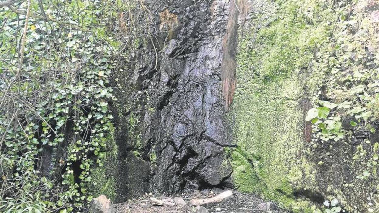 El juzgado archiva la causa por delito ecológico en La Mina