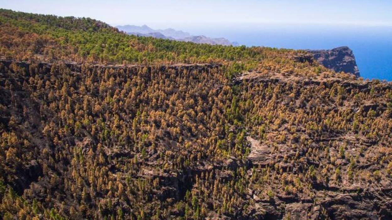 El Cabildo ve "más logros» que impacto en el radiotelescopio de Tamadaba