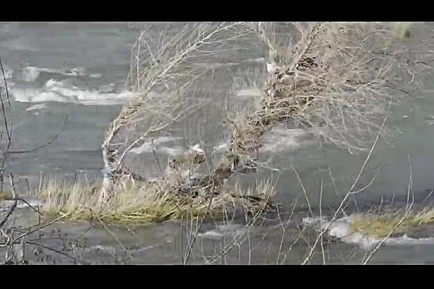 Hallan el cadáver de la abuela de la niña muerta en Logroño