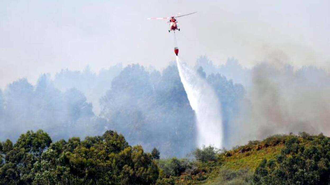 Siete meses sin una tregua