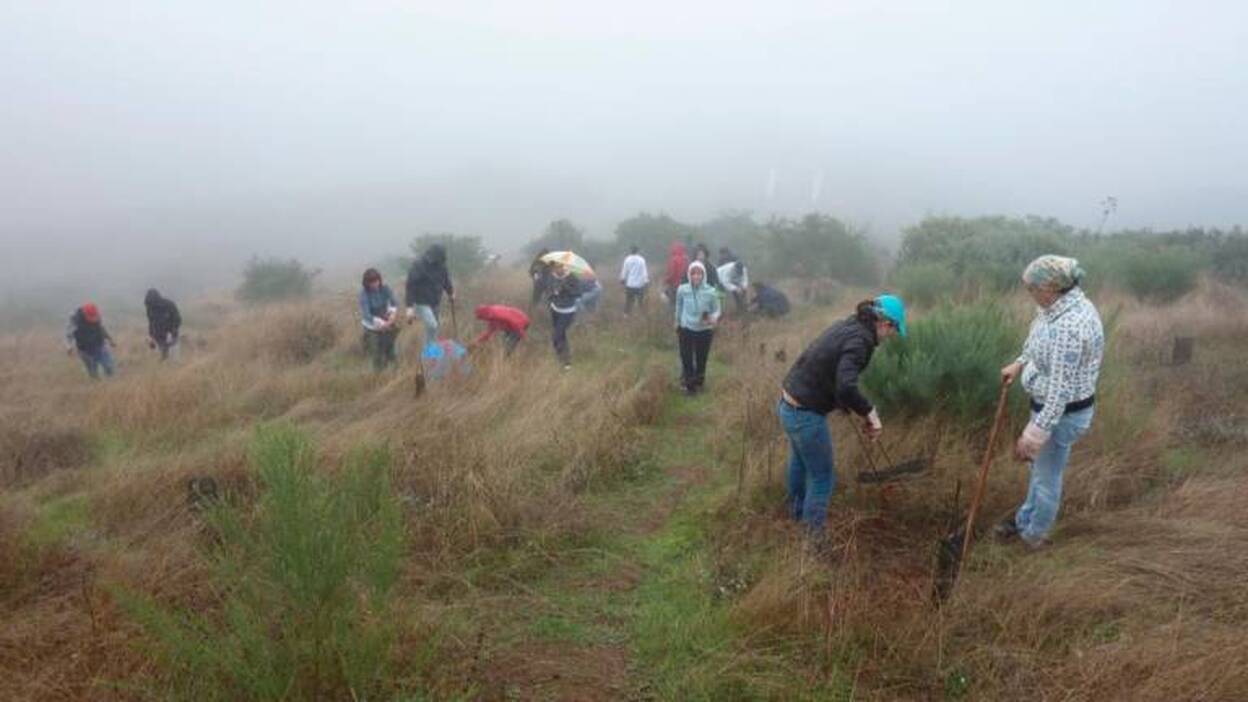 Spar y Foresta plantarán 150 árboles con nombre de mujer