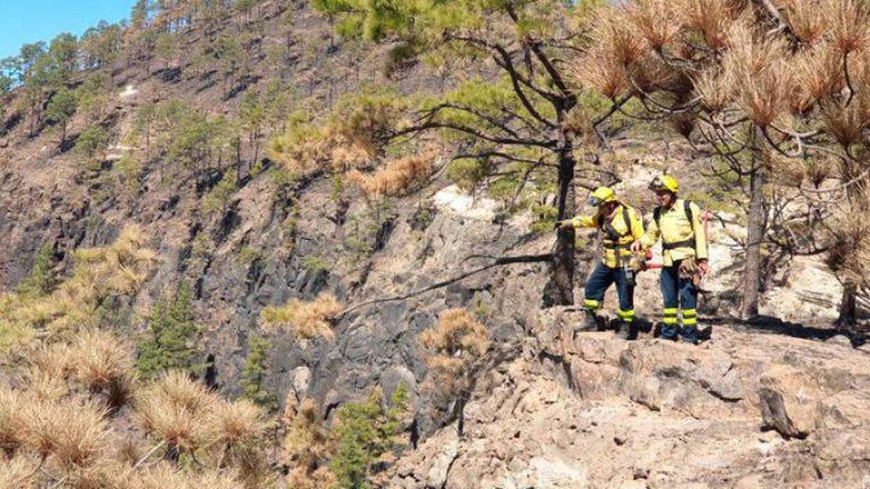 El Cabildo da por extinguido el incendio de Tasarte