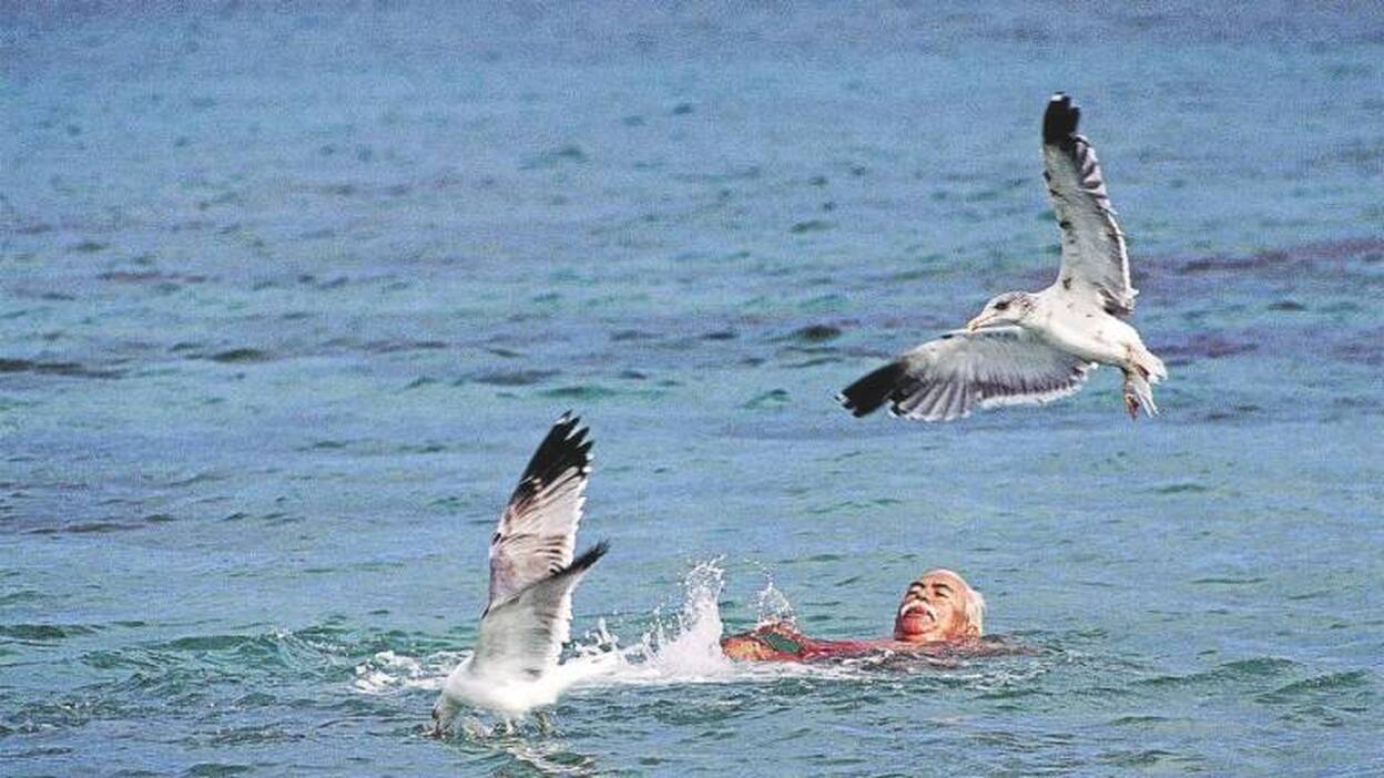 Imágenes y poemas ensalitrados