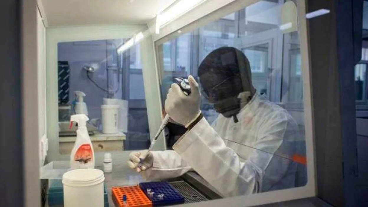 Dispar batalla contra el coronavirus en Senegal