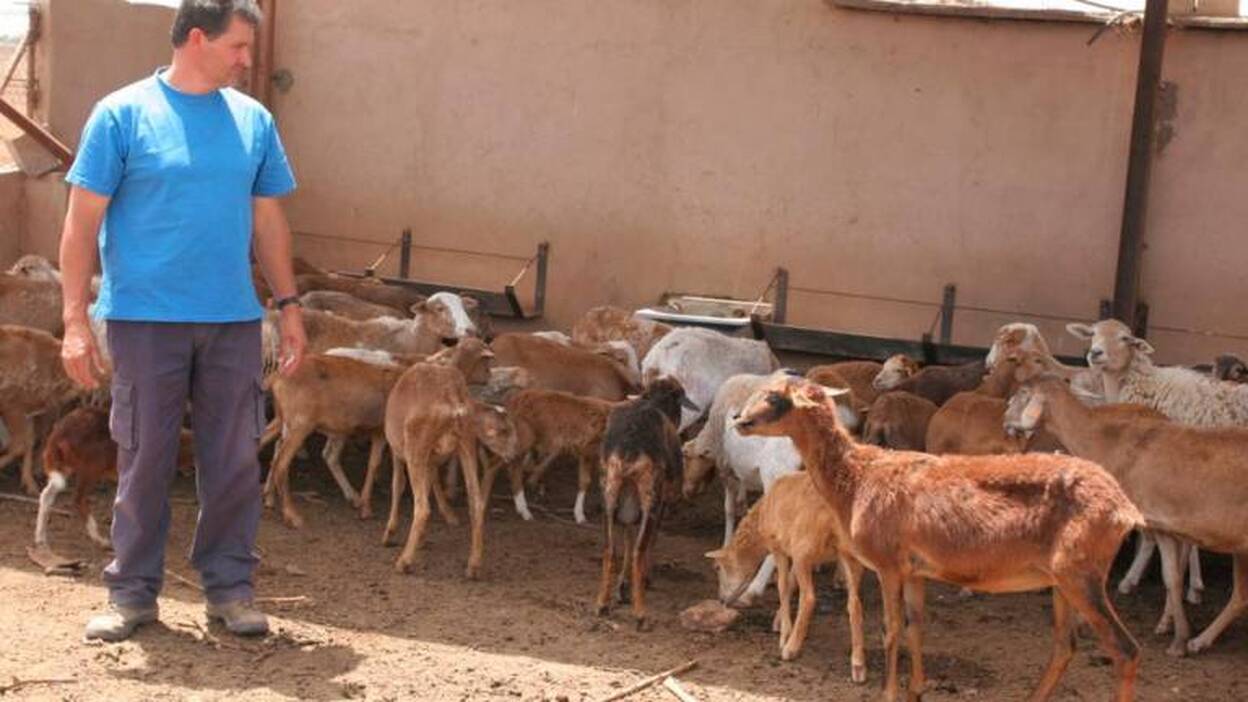 Felapyme pide consumir productos locales