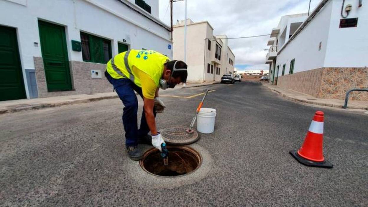 Desratización y desinsectación en Arrecife
