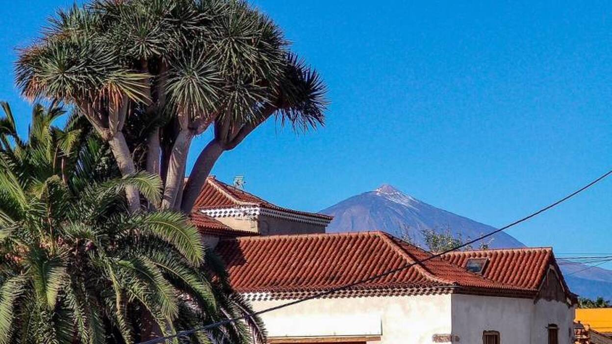 Trasladan a 24 mayores de un centro de al dar positivo