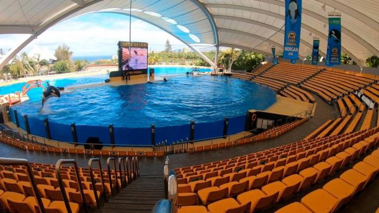 Loro Parque continúa haciendo los shows sin público