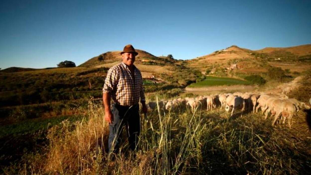 La crisis hace peligrar el queso de flor