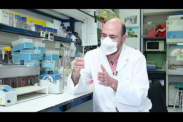 Primeros ensayos de una vacuna española contra el Covid-19