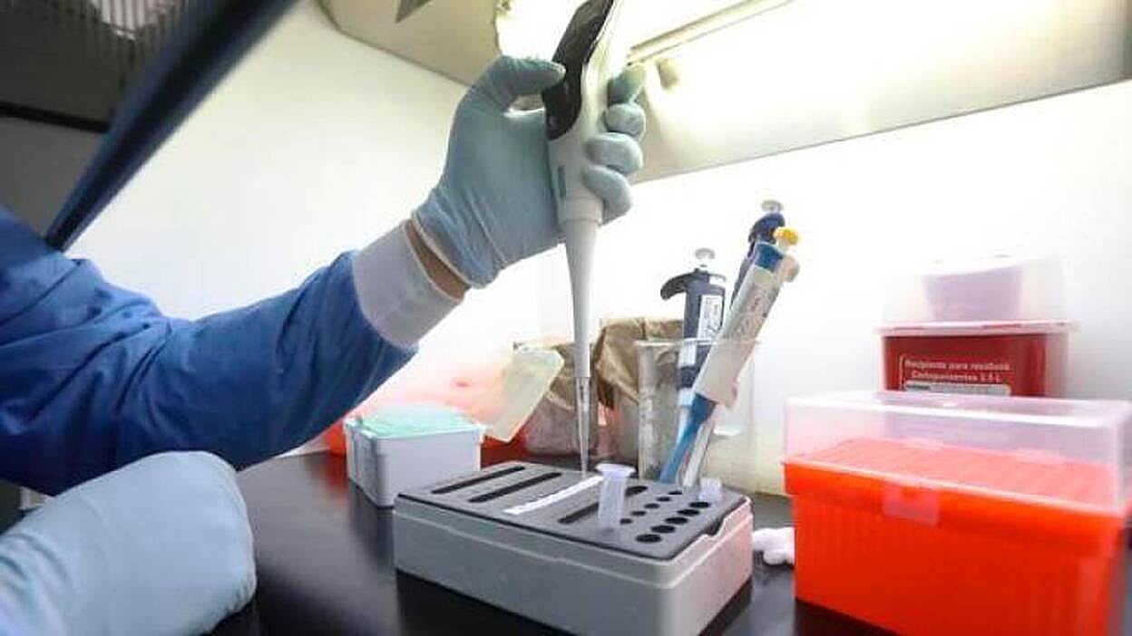 Científicos británicos analizan los genomas del virus