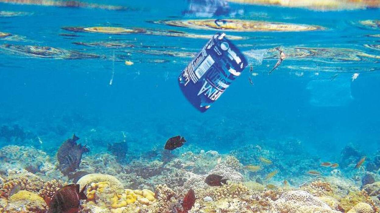 Los océanos, bajo la amenaza de un retorno al «precolapso» ambiental