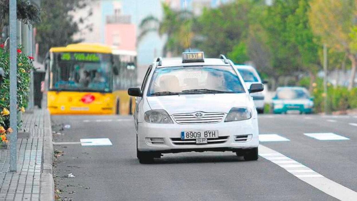 «Se refuerza el servicio de taxis y guaguas en la capital» Canarias7