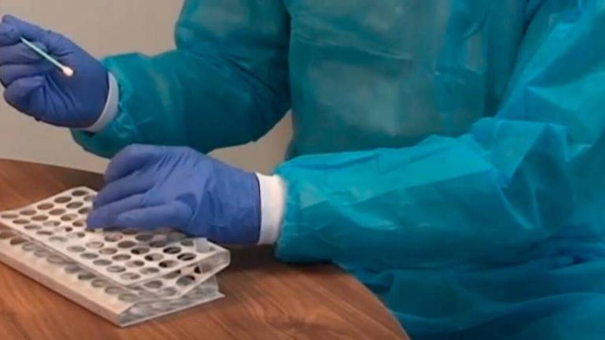 Canarias, quinta en test de PCR hechos