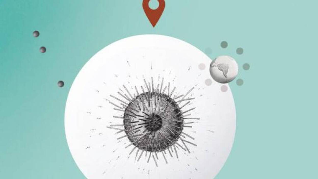 España se apunta al sistema el rastreo de contactos de Google y Apple como ‘arma’ digital antiCovid