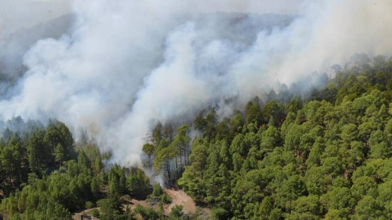 La campaña contra incendios moviliza a 1.400 efectivos
