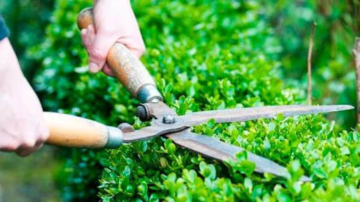 El SCE contratará a personas con discapacidad