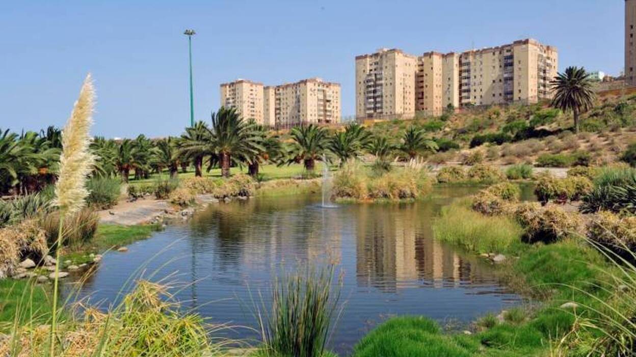 Jinámar acogerá el primer museo dedicado a la palmera canaria