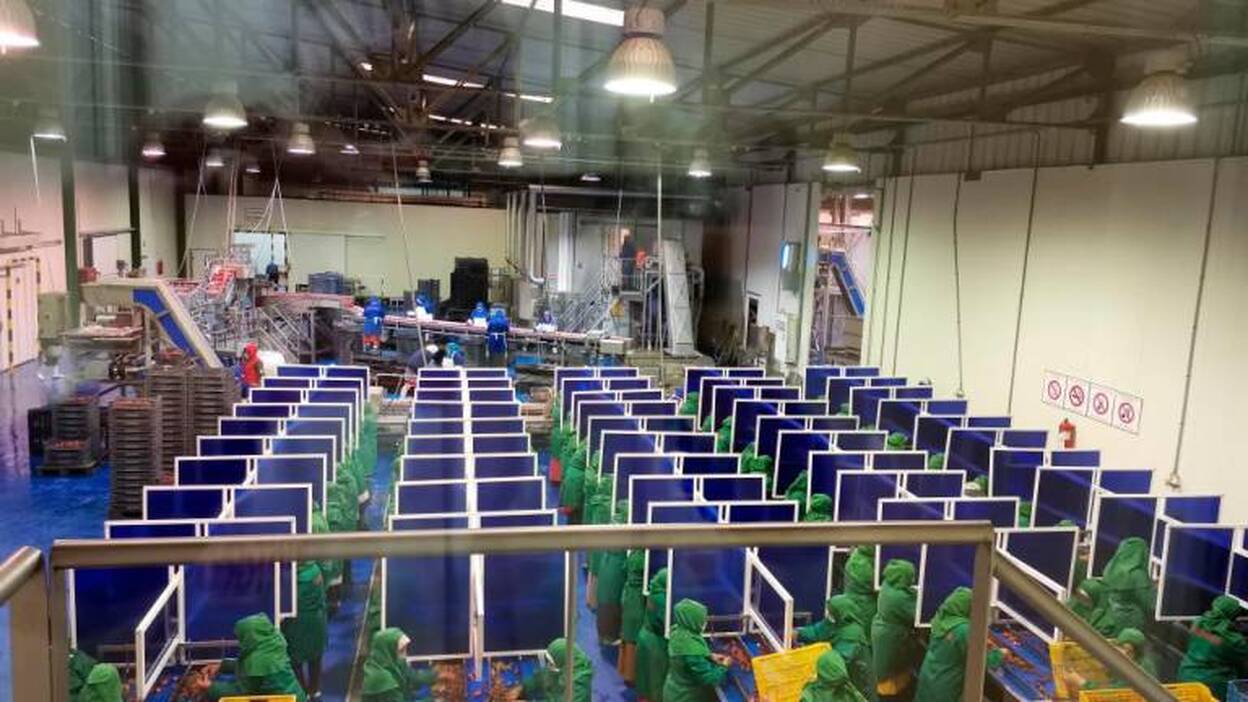 Marruecos investiga dos focos con 900 contagios