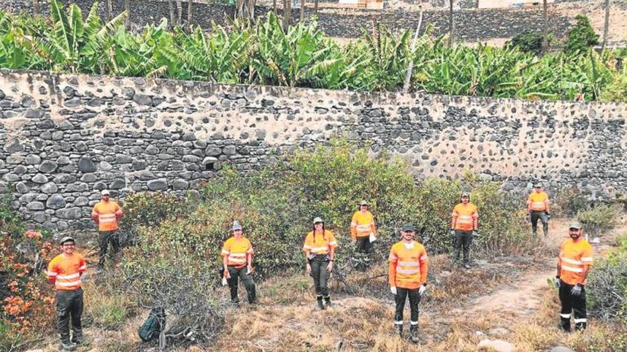 El récord de culebras reales capturadas es pulverizado en 2020