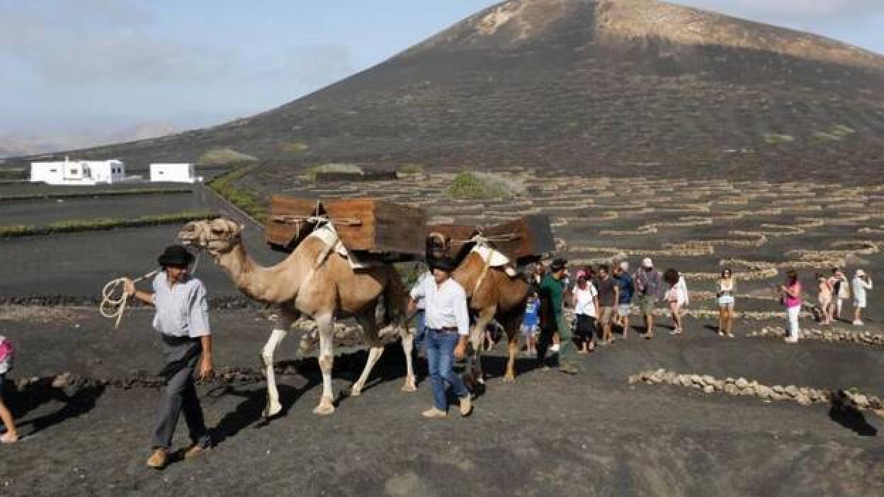 La Geria, gran tierra de vinos