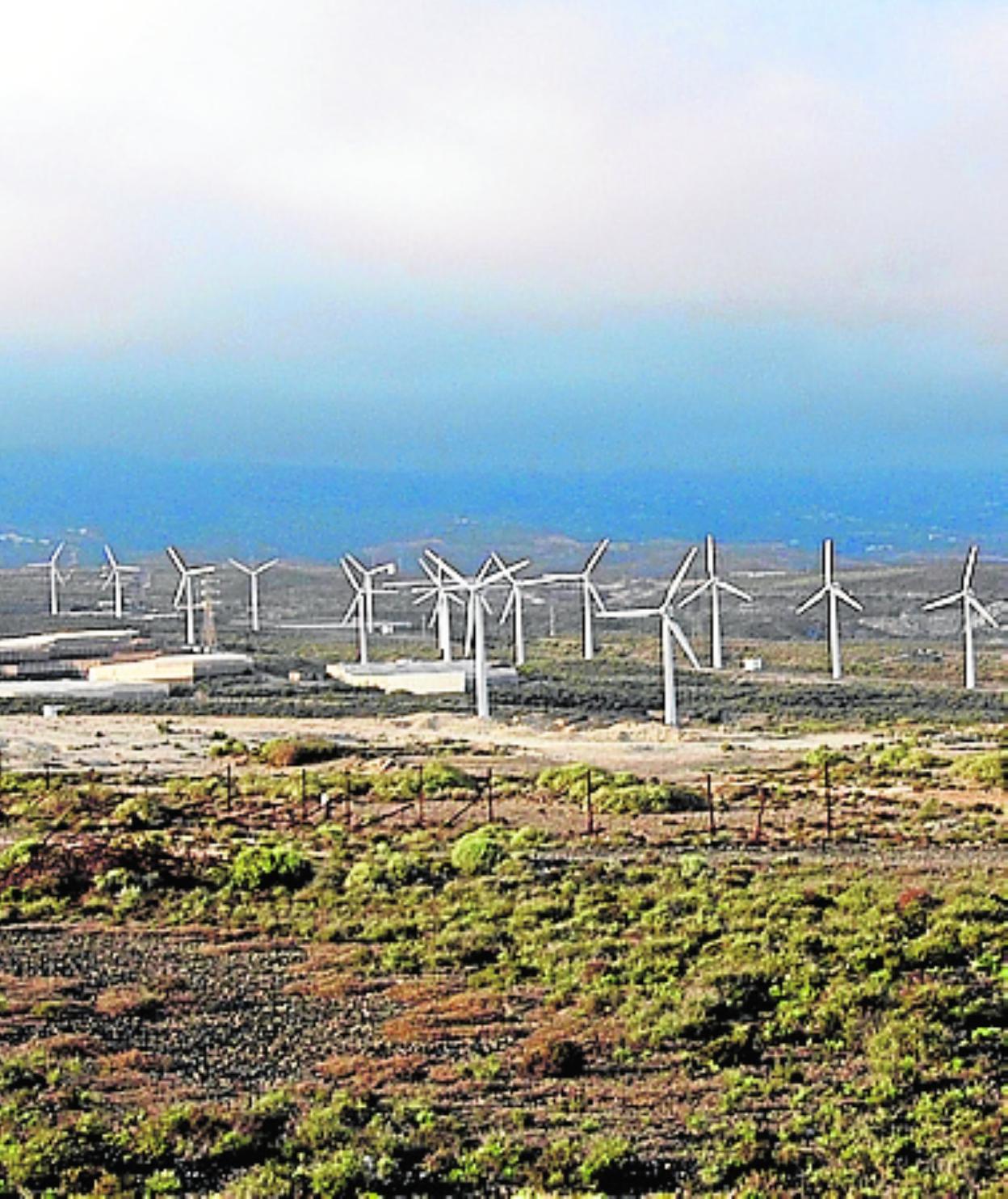 Parque eólico de Arico. 