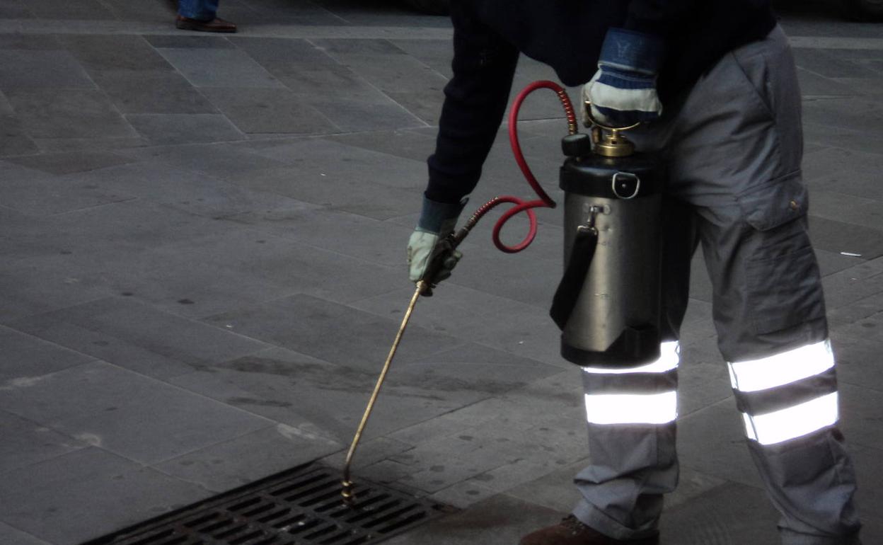 Salud Pública realiza una treintena de tratamientos y controles de plagas