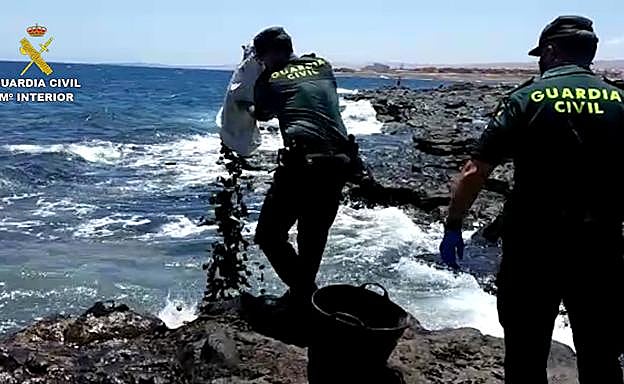 Denunciados por marisqueo ilegal en Fuerteventura