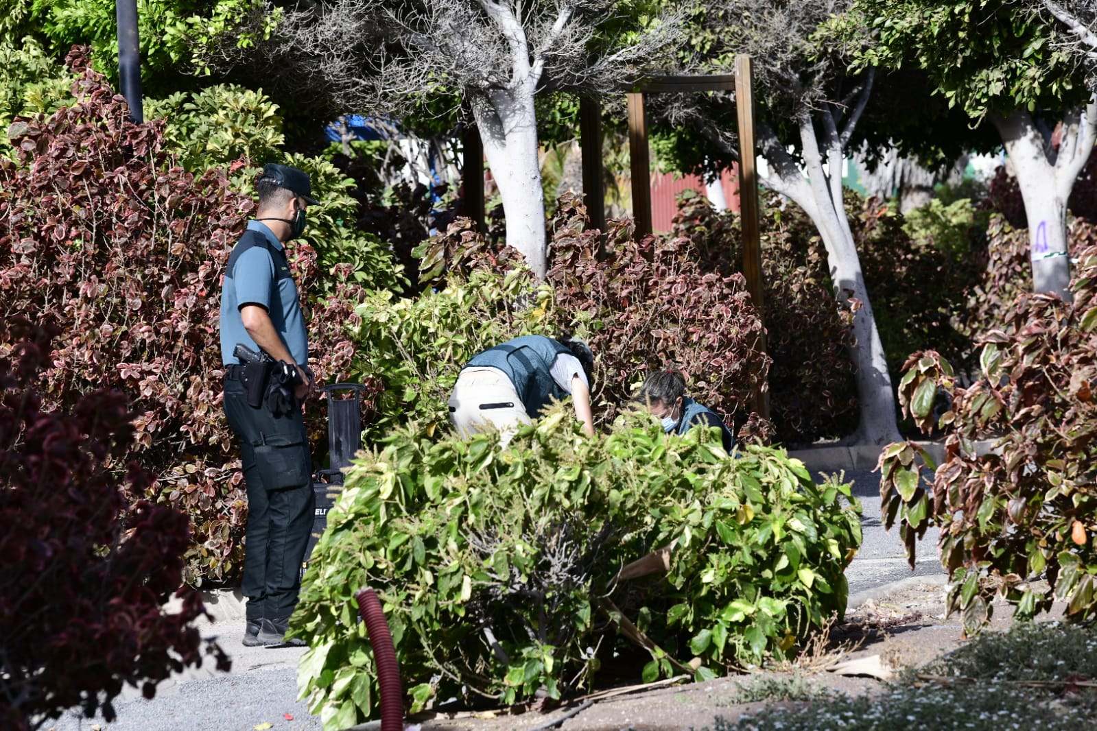 La Guardia Civil recoge pruebas en el lugar del suceso. 