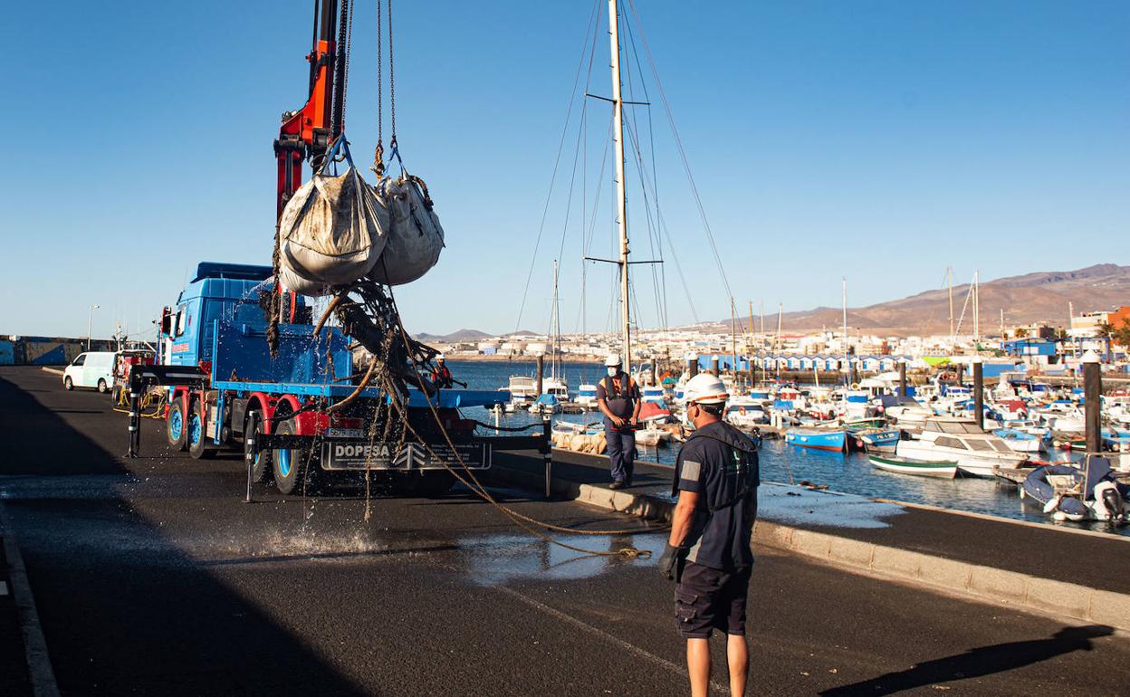 Un momento del operativo de limpieza