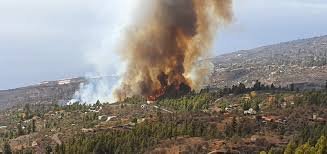 Controlado el incendio forestal de Tijarafe